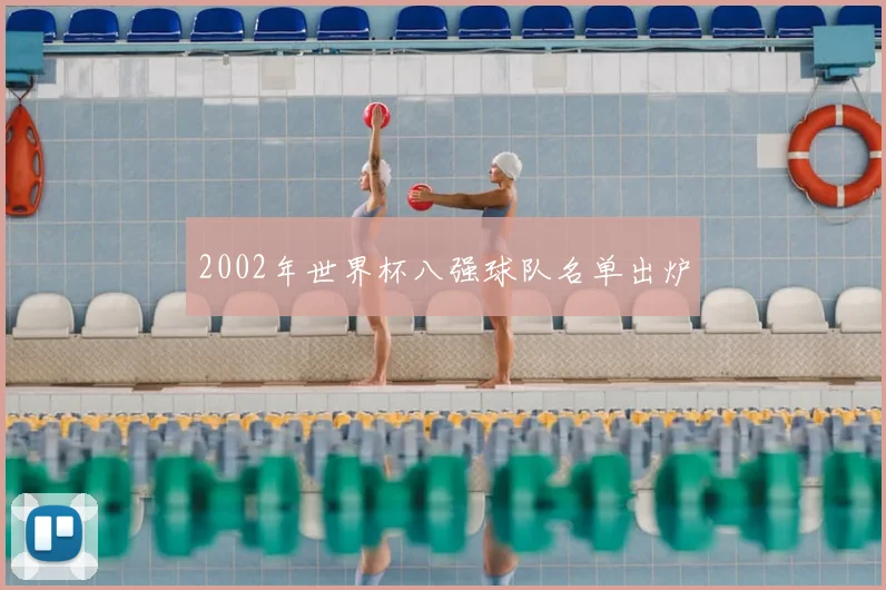 2002年世界杯八强球队名单出炉