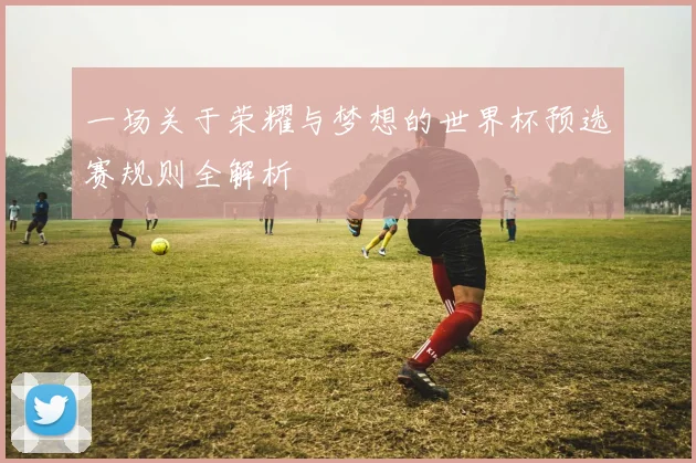 一场关于荣耀与梦想的世界杯预选赛规则全解析