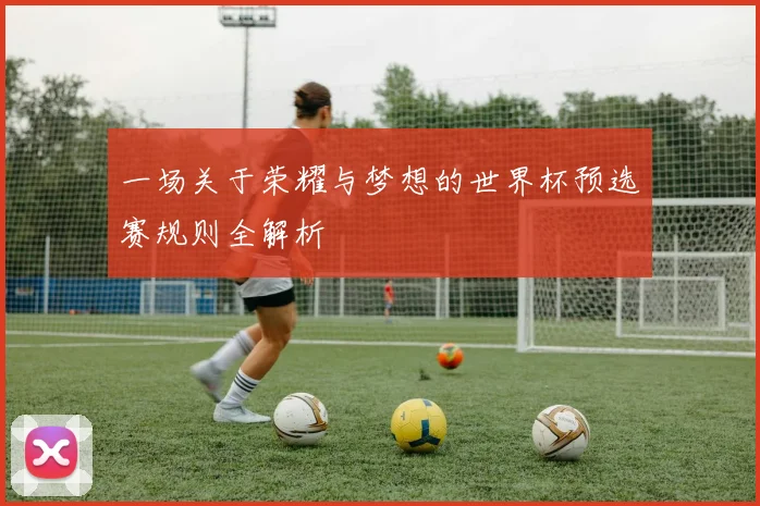 一场关于荣耀与梦想的世界杯预选赛规则全解析