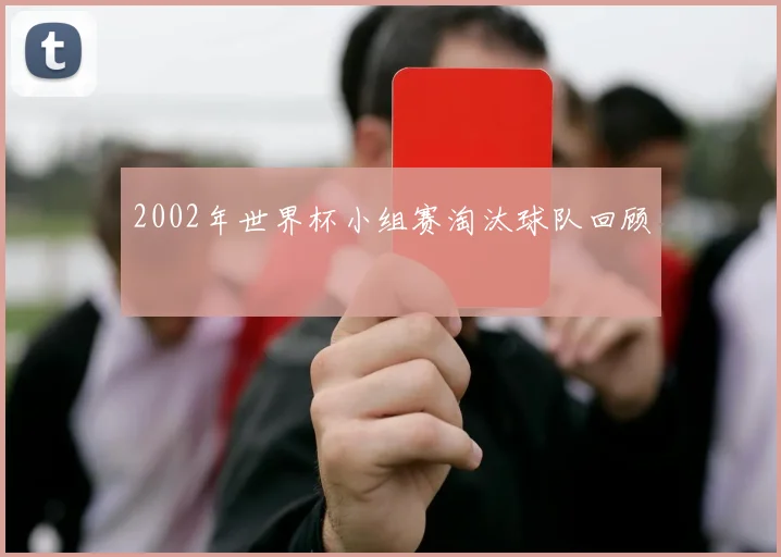 2002年世界杯小组赛淘汰球队回顾