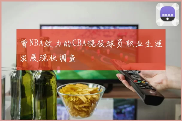 曾NBA效力的CBA现役球员职业生涯发展现状调查