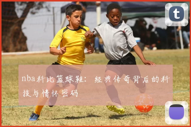 nba科比篮球鞋:经典传奇背后的科技与情怀密码