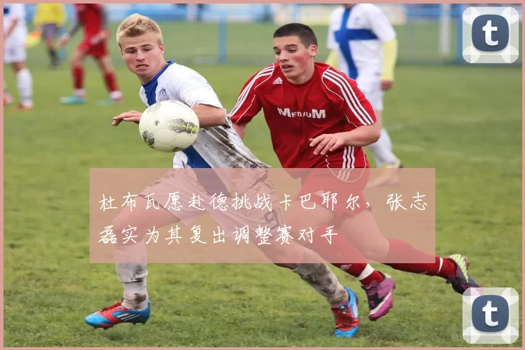 杜布瓦愿赴德挑战卡巴耶尔,张志磊实为其复出调整赛对手