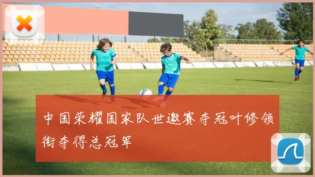 中国荣耀国家队世邀赛夺冠叶修领衔夺得总冠军