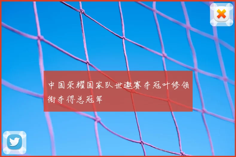 中国荣耀国家队世邀赛夺冠叶修领衔夺得总冠军