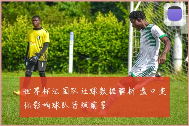 世界杯法国队让球数据解析 盘口变化影响球队晋级前景