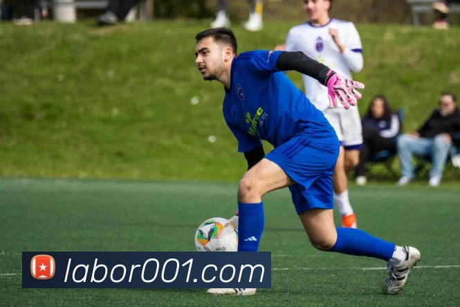 米兰app官网下载入口平台生态图