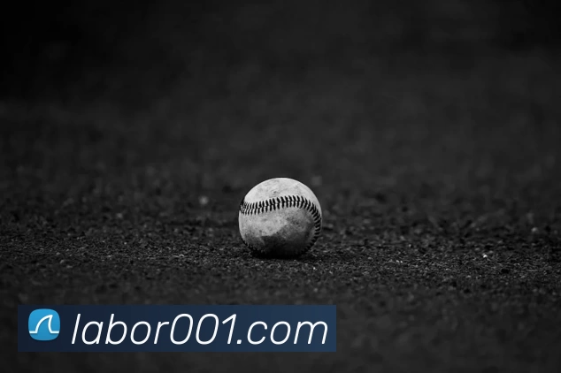 辅助工具 辅助工具